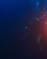 47metersdown-still-00016.jpg