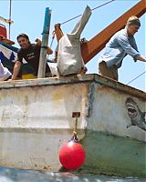 47metersdown-still-00017.jpg